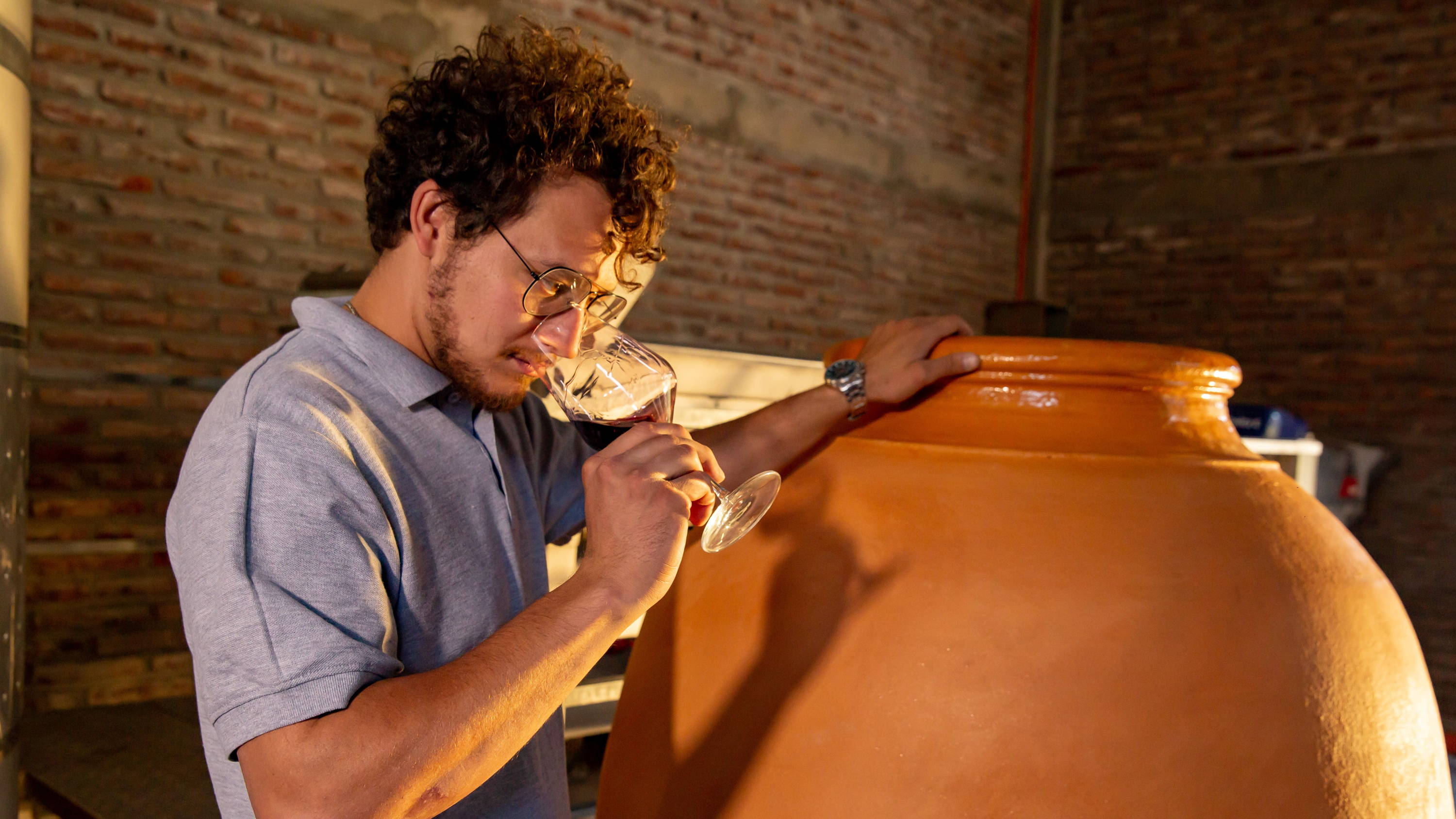 モザイコ ピノノワール［赤］ – 柴田屋酒店 online